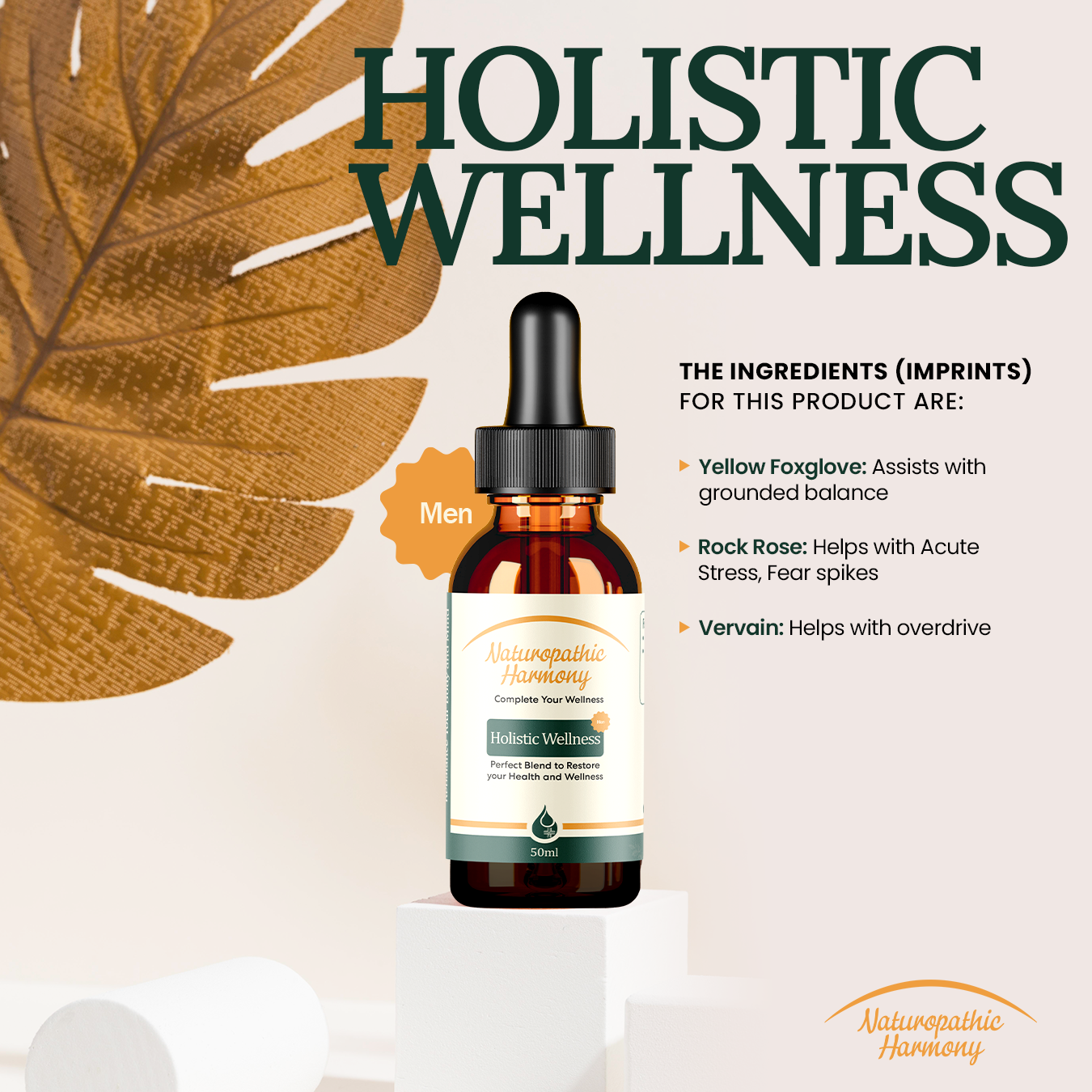 Holistic Wellness Men – Steady Inside, Ready Outside