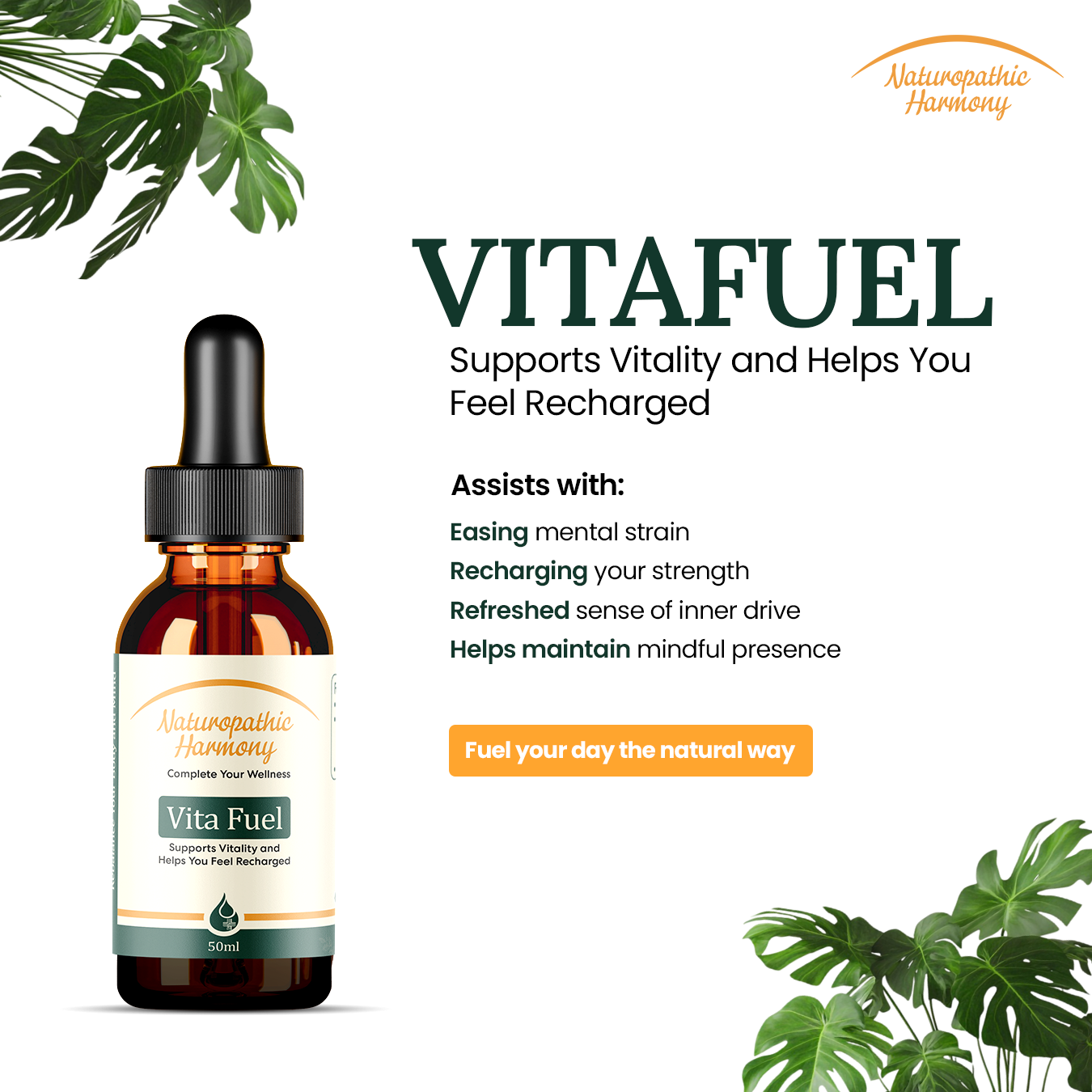 VitaFuel - All Day Energy Boost