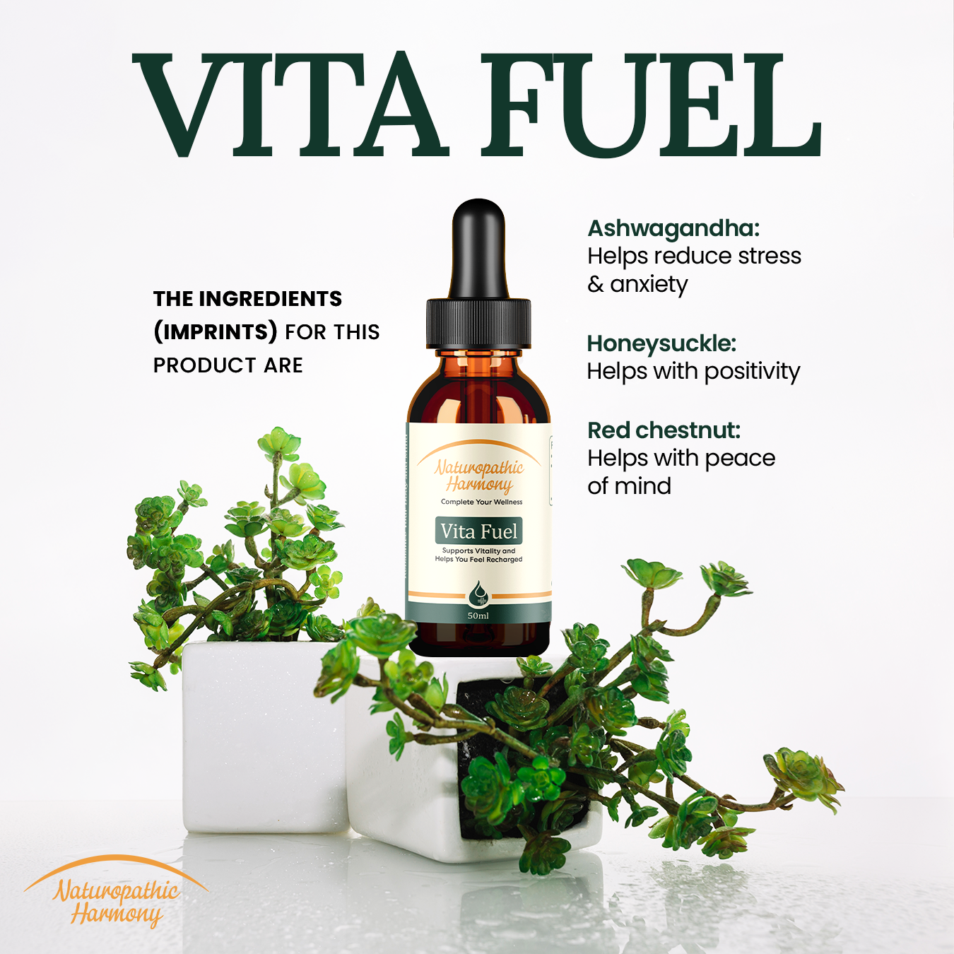 VitaFuel - All Day Energy Boost