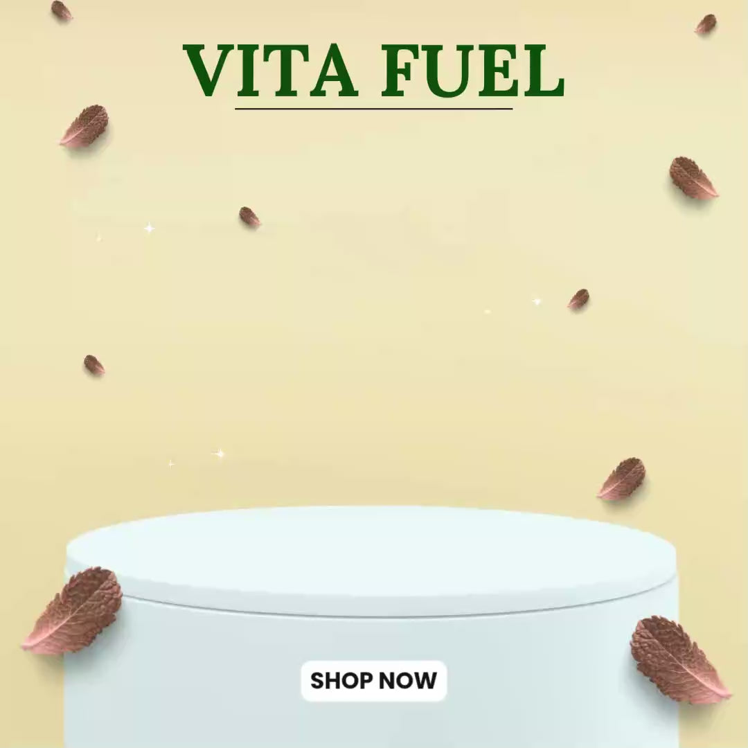 VitaFuel - All Day Energy Boost